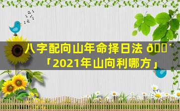 八字配向山年命择日法 🐴 「2021年山向利哪方」